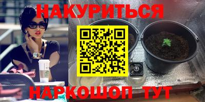 мдма Новодвинск