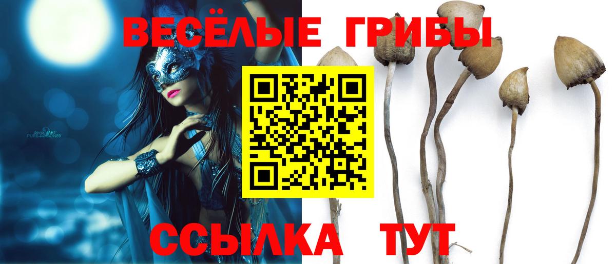 Псилоцибиновые грибы Magic Shrooms  Вход с VPN  Ульяновск 